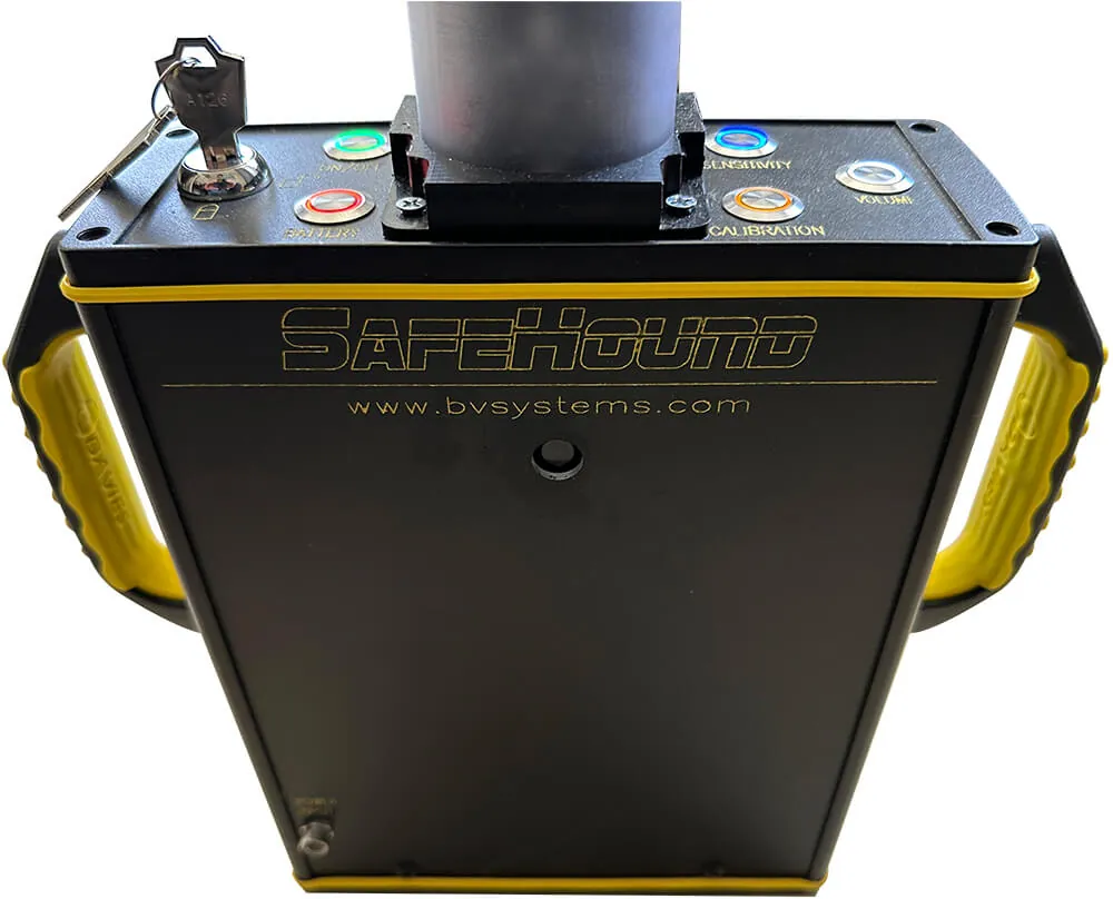 BVS SafeHound ferrous weapons detection portal